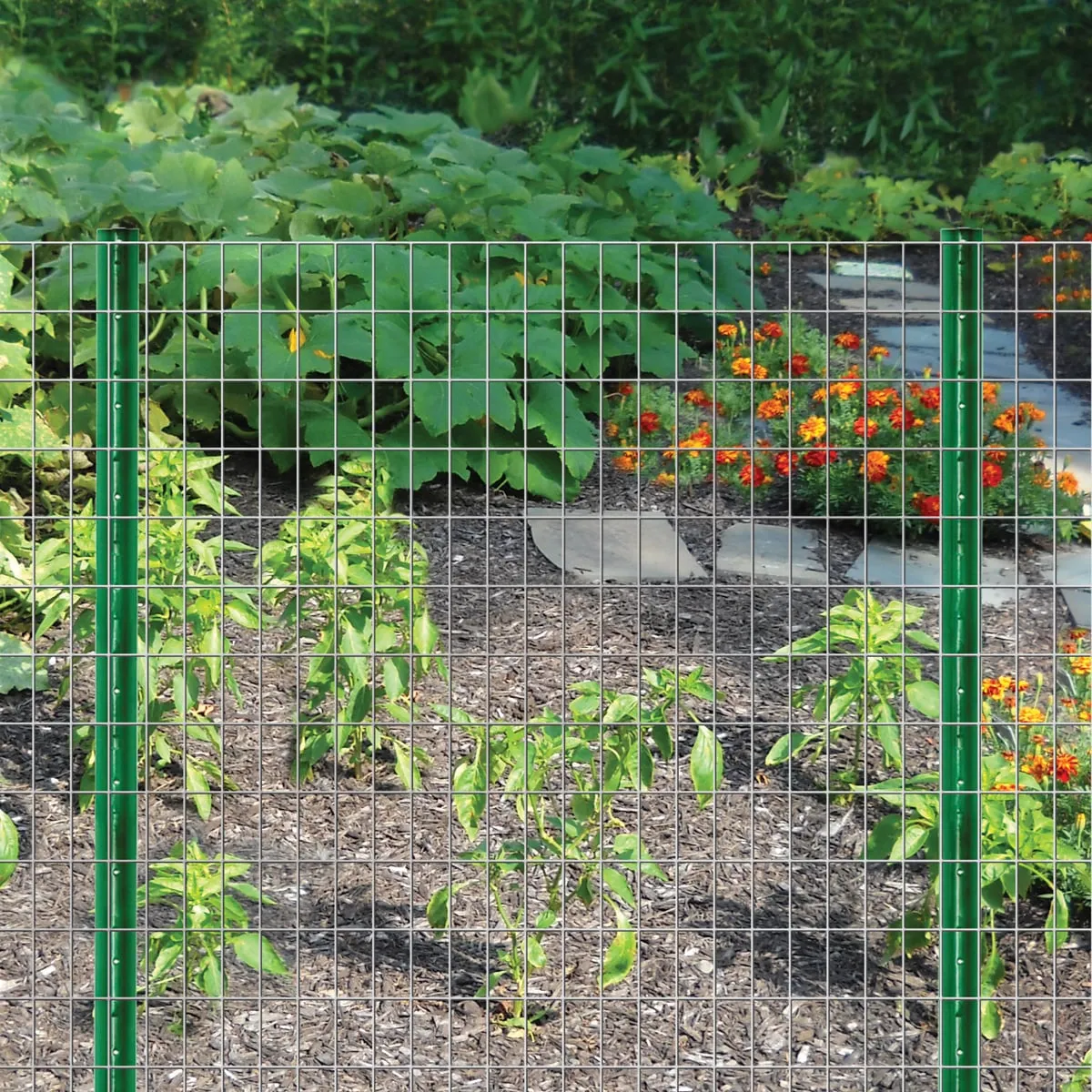 wholesale steel wire mesh chicken wire