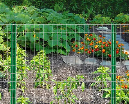 Welded wire mesh