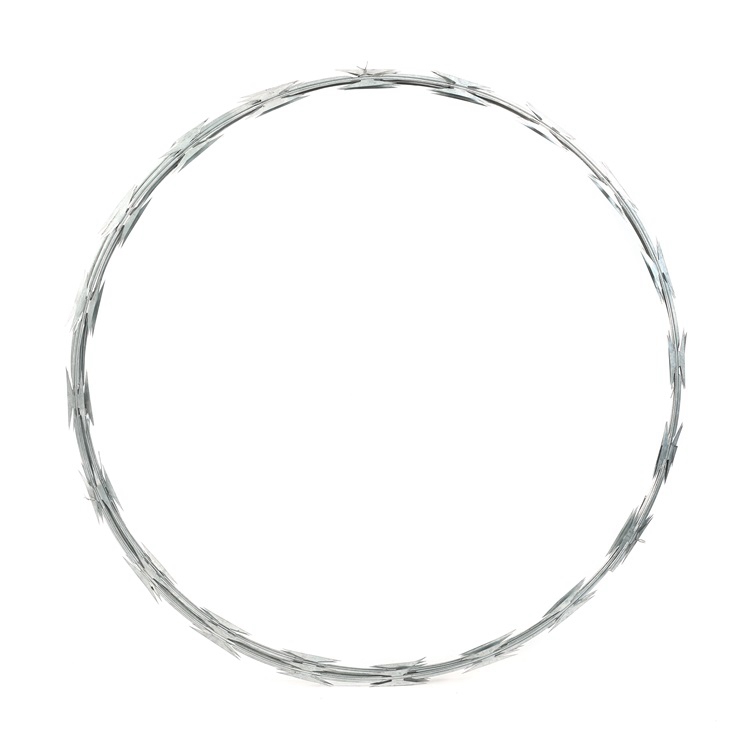 Galvanized razor barbed wire fence