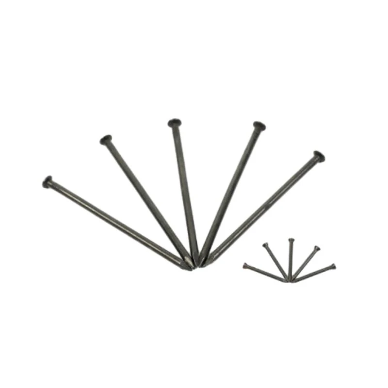 The Versatility of Common Nails: A Must-Have for Every Toolbox