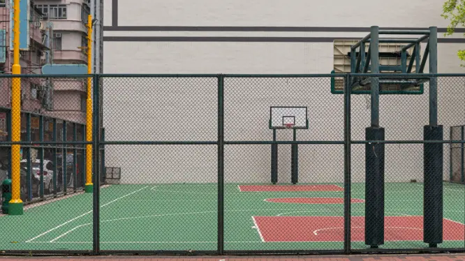 high quality square chicken wire mesh