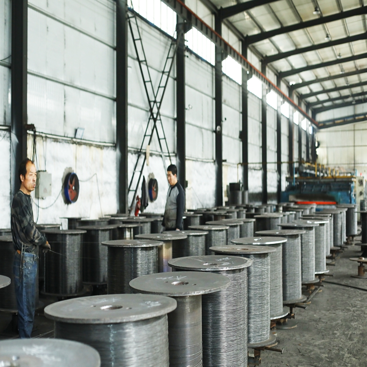 galvanized square woven wire mesh