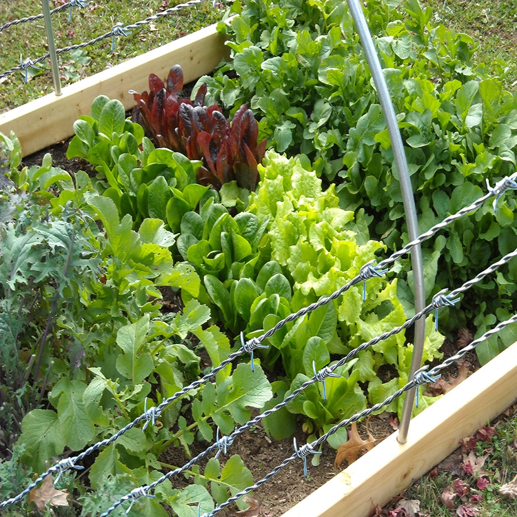 5ft field fence